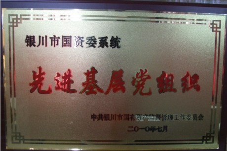 銀川市國資委系統先進基層黨組織