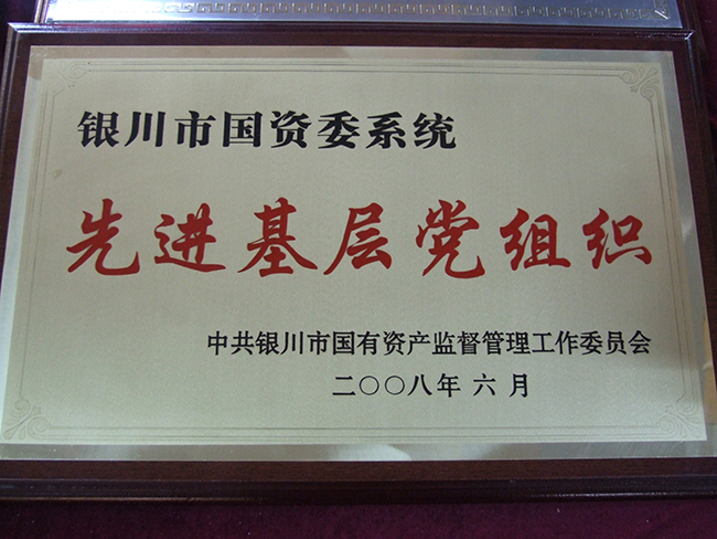2008年銀川市國(guó)資委系統(tǒng)先進(jìn)基層黨組織