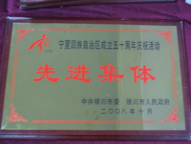2008年寧夏回族自治區(qū)成立五十周年慶祝活動(dòng)先進(jìn)集體