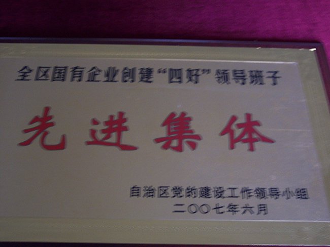 2007年6月自治區(qū)黨的建設(shè)工作領(lǐng)導(dǎo)小組先進(jìn)集體