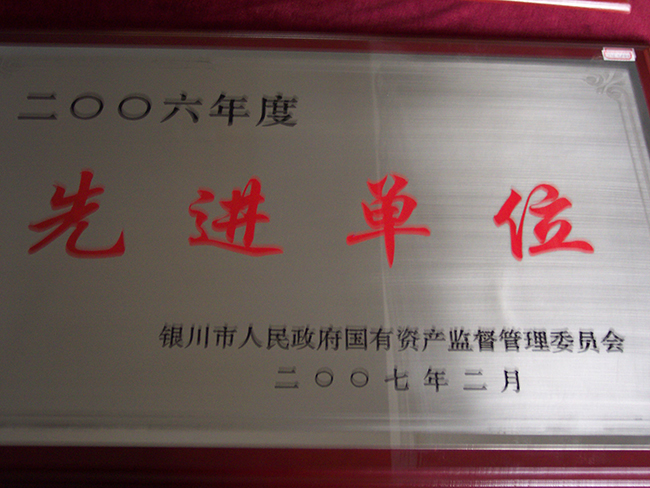 2006年度銀川市人民政府國(guó)有資產(chǎn)監(jiān)督管理委員會(huì)先進(jìn)集體