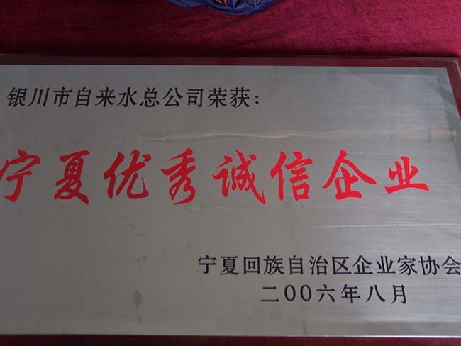 2006年8月自治區(qū)企業(yè)家協(xié)會(huì)寧夏優(yōu)秀誠(chéng)信企業(yè)