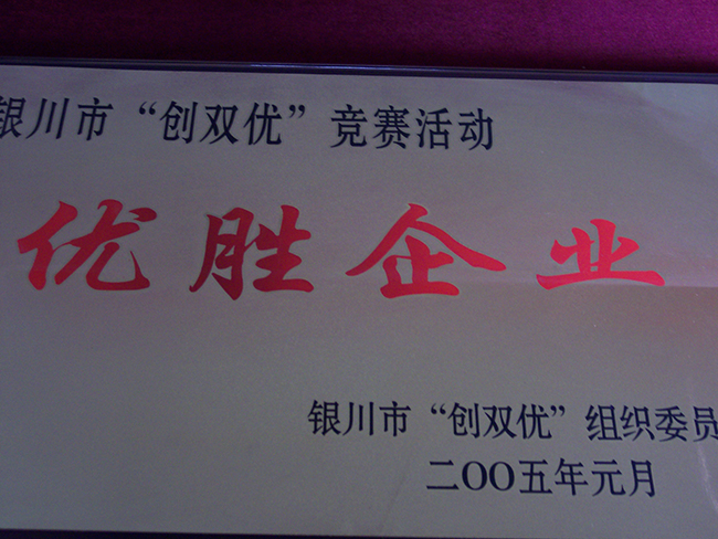 2005年1月銀川“創(chuàng)雙優(yōu)”競(jìng)賽活動(dòng)優(yōu)勝企業(yè)